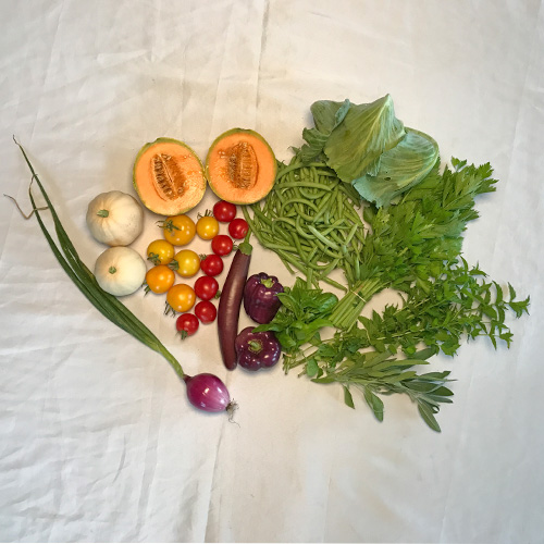 2017-csa-week-13-share