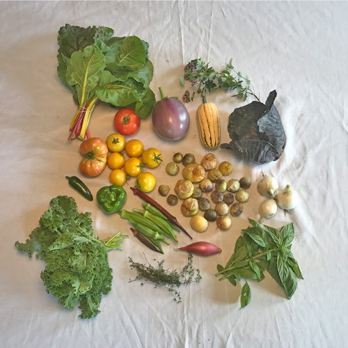 2017-csa-week-15-share