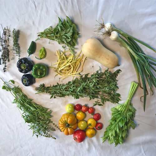 2017-csa-week-16-share