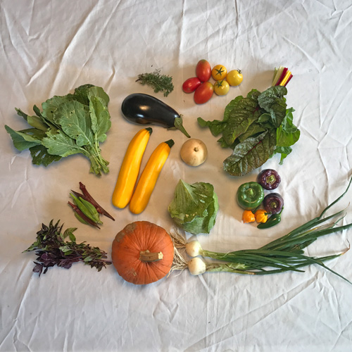 2017-csa-week-17-share