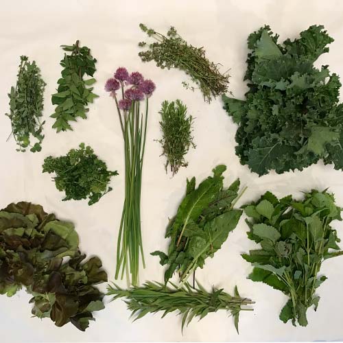 2017-csa-week-2-share