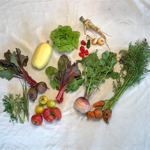 2017-csa-week-22-share