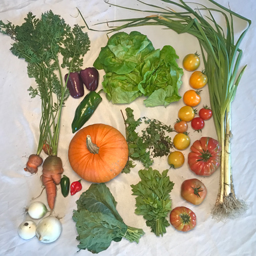 2017-csa-week-23-share