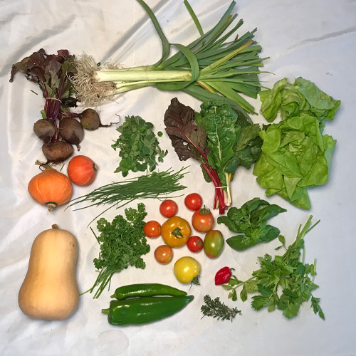 2017-csa-week-25-share