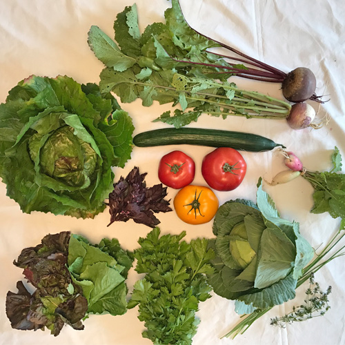 2017-csa-week-7-share