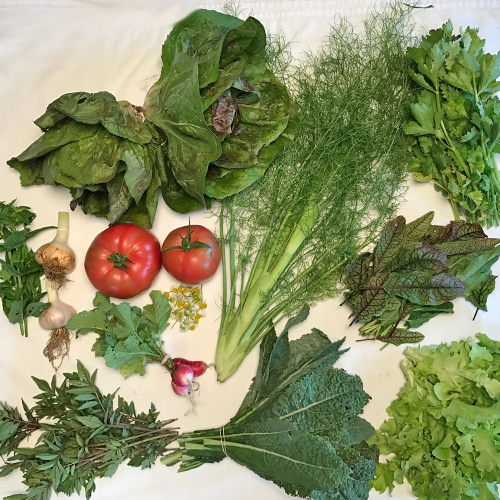 2017-csa-week-8-share