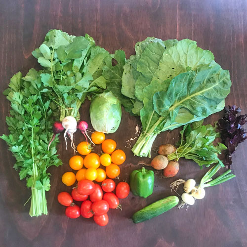 2018-csa-week-12-share