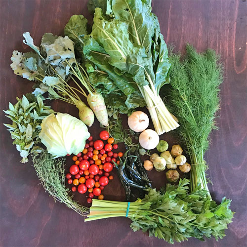 2018-csa-week-14-share