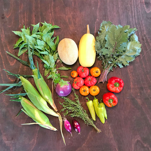 2018-csa-week-18-share