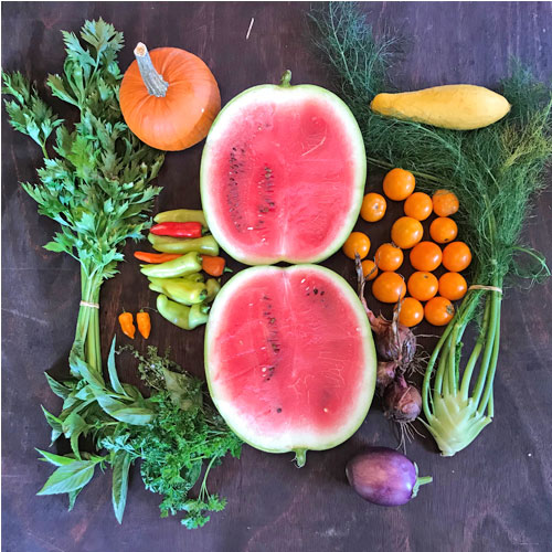 2018-csa-week-19-share