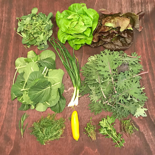 2018-csa-week-2-share