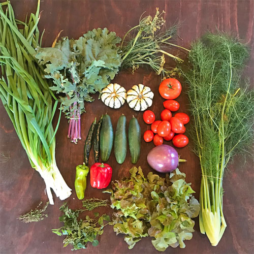 2018-csa-week-24-share