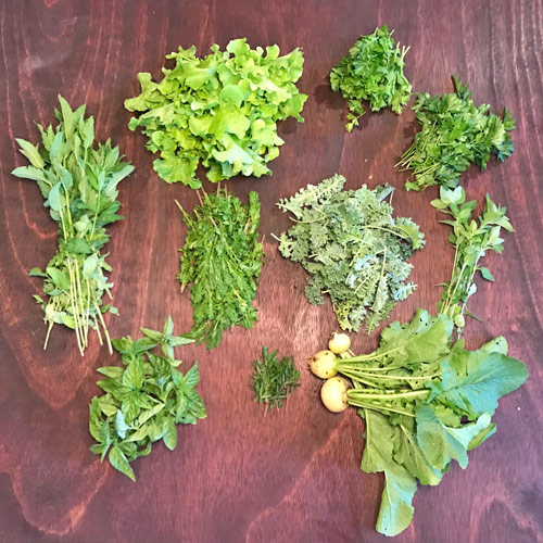 2018-csa-week-3-share