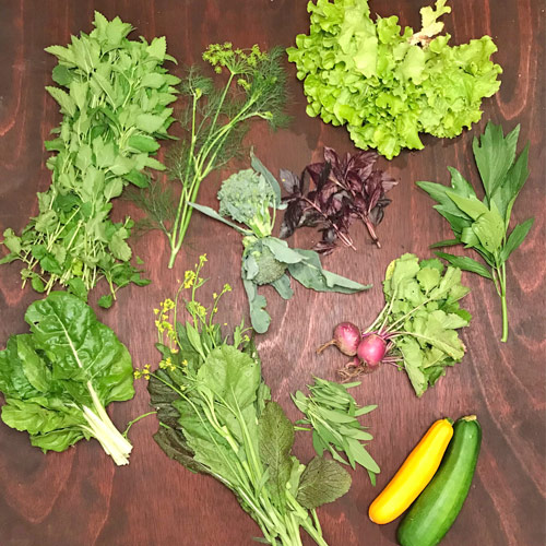 2018-csa-week-4-share