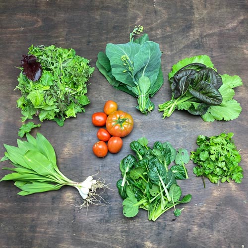 2020-csa-week-1-share