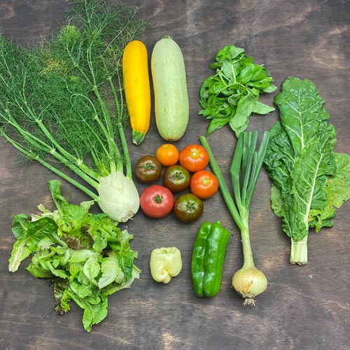 2020-csa-week-10-share