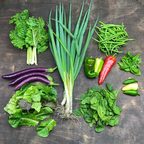 2020-csa-week-19-share