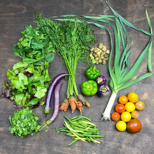 2020-csa-week-21-share