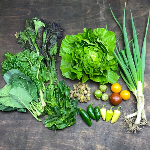 2020-csa-week-22-share