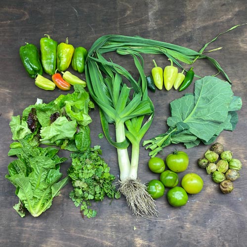 2020-csa-week-26-share