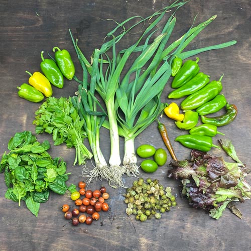 2020-csa-week-28-share_0