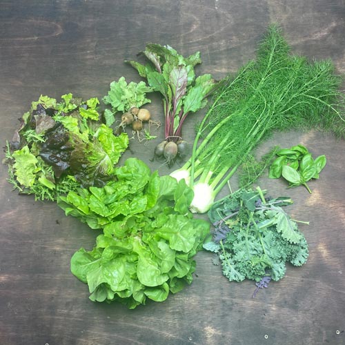 2020-csa-week-5-share