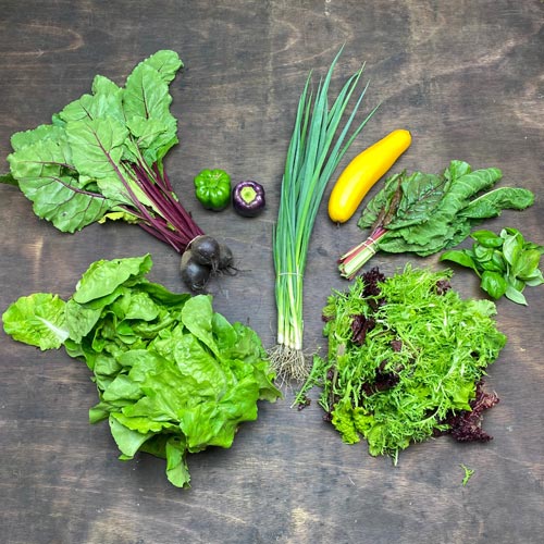 2020-csa-week-6-share