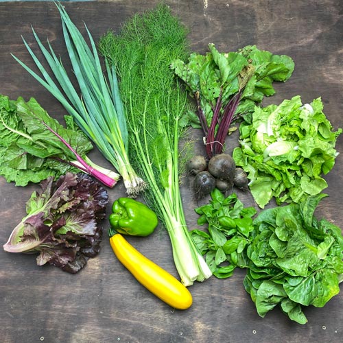 2020-csa-week-8-share