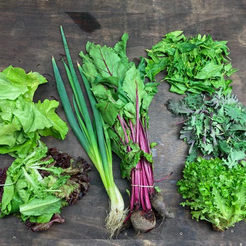 2021-csa-week-1-share