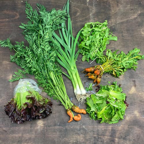 2021-csa-week-2-share