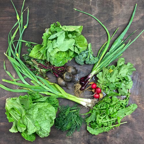 2021-csa-week-3-share