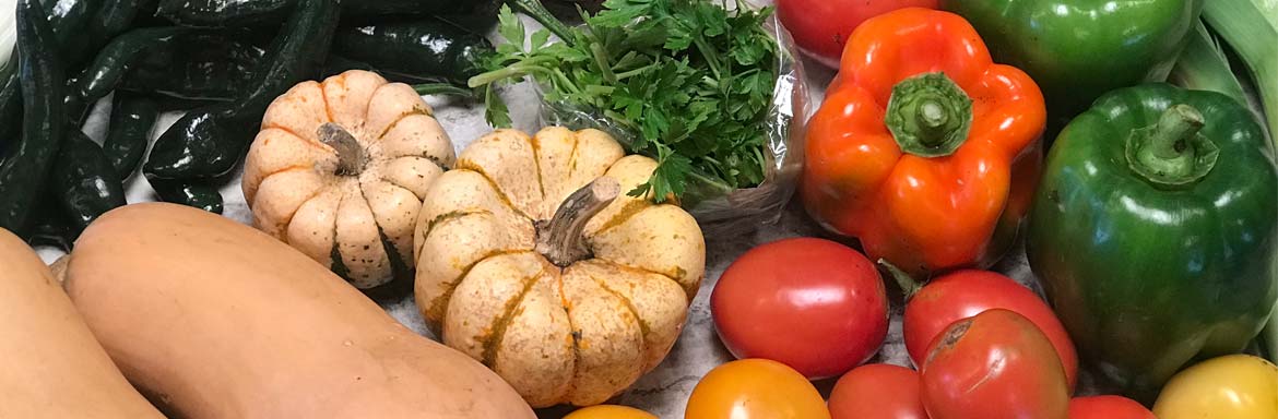 csa-package-overview-header