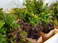 csa-production-methods-bags