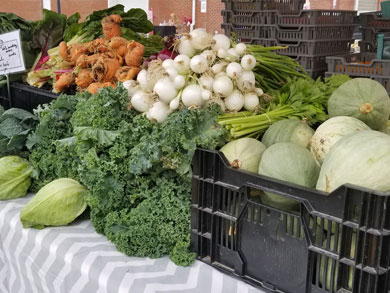 greens-roots-winter-squash-lakewood-farmers-market