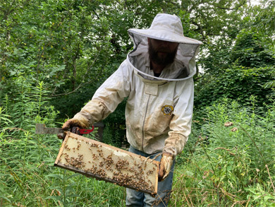 csa-peppers-tomatoes-in-squash-field.