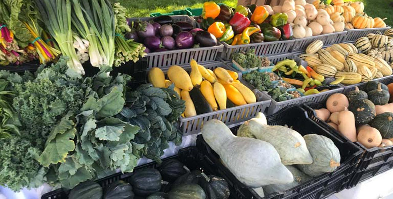 Farmers Market Banner